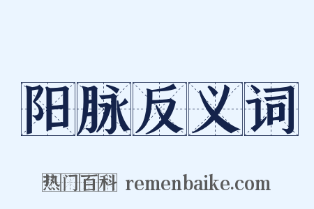 阳脉反义词是什么意思的图片